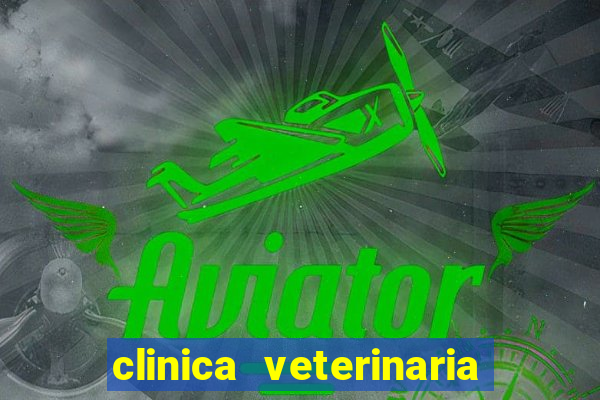 clinica veterinaria cuidar betim